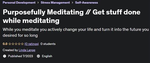 Purposefully Meditating – Get stuff done while meditating
