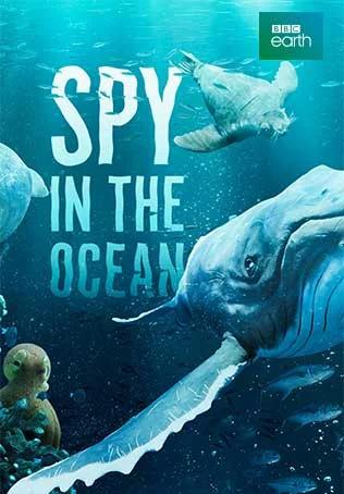 Szpiedzy w oceanie / Spy in the Ocean (2023) [SEZON 1] PL.1080i.HDTV.H264-B89 | POLSKI LEKTOR