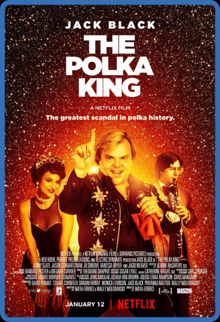 The Polka King 2017 1080p WEBRip x265-RARBG 2107bdba2c711455768c02b1d441ccb9