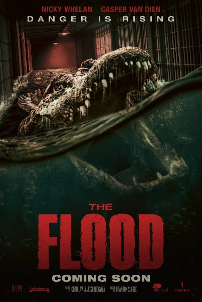 The Flood (2023) 1080p WEBRip x265-INFINITY