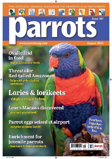 Parrots - August / 2023