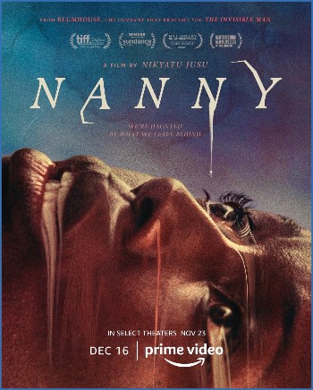 Nanny 2022 1080p WEBRip x265-RBG