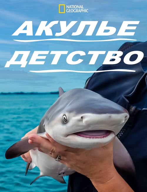 National Geographic. Акулье детство | Baby Sharks (2022/WEB-DL/1080p)