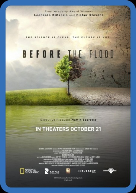 Before The Flood 2016 1080p WEBRip x265-RARBG