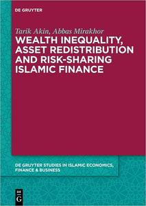 Wealth Inequality, Asset Redistribution and Risk–Sharing Islamic Finance