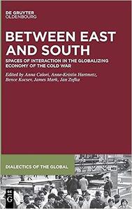Between East and South Spaces of Interaction in the Globalizing Economy of the Cold War (Dialectics of the Global)
