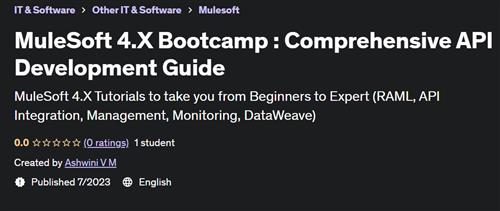 MuleSoft 4.X Bootcamp – Comprehensive API Development Guide
