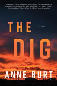 The Dig A Novel