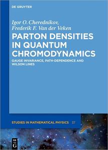 Parton Densities in Quantum Chromodynamics Gauge Invariance, Path–dependence and Wilson Lines