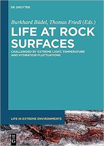 Life at rock surfaces challenged by extreme light, temperature and hydration fluctuations