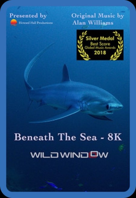 Wild Window Beneath The Sea 2018 1080p WEBRip x265-RARBG