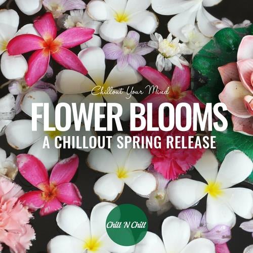 Flower Blooms Chillout Your Mind (2023) FLAC