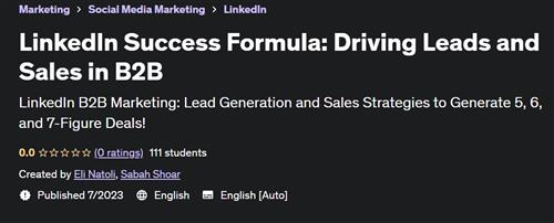 LinkedIn Success Formula – Driving Leads and Sales in B2B