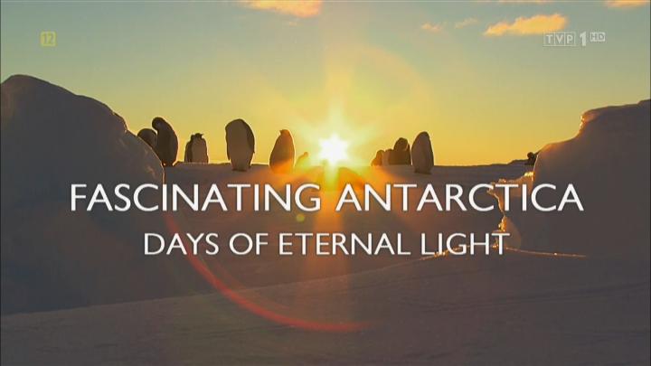 Fascynująca Antarktyka. Dni wiecznego światła / Fascinating Antarctica - Days of Eternal Light (2019) PL.1080i.HDTV.H264-B89 | POLSKI LEKTOR