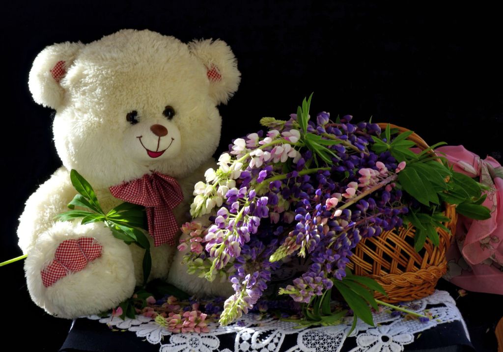 My teddy bear - Page 45 B7be5c613d05882a28e03f8a3ad95db9
