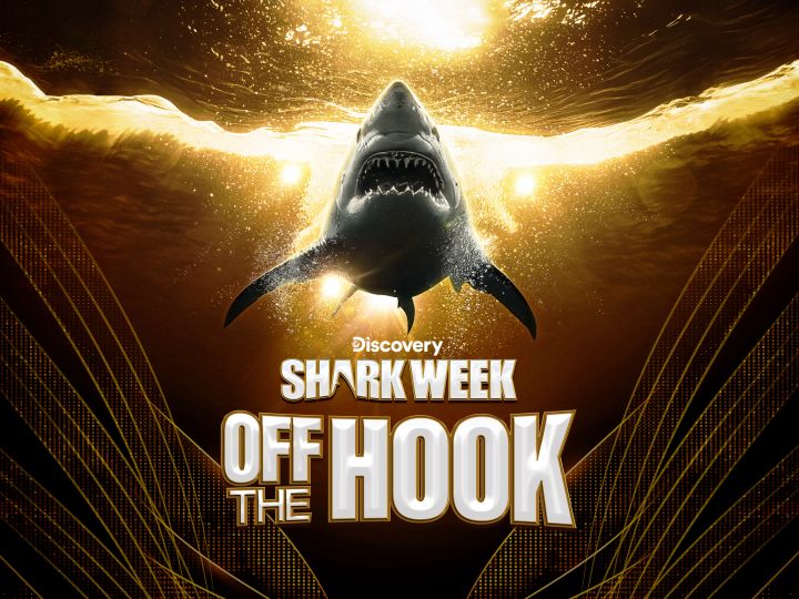 Shark week: Najlepsze momenty / Shark Week: Off the Hook (2023) PL.1080i.HDTV.H264-B89 | POLSKI LEKTOR