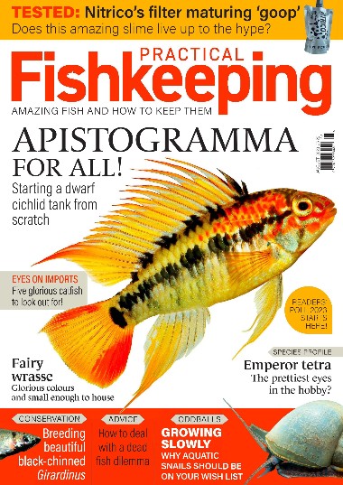 Practical Fishkeeping - August / 2023 F564215ea5ee889fe506448dd17fda7d