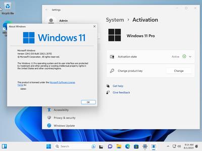Windows 11 Pro 22H2 Build 22621.2070 (No TPM Required) Preactivated Multilingual (x64)