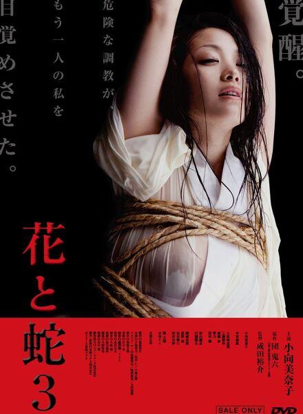 Hana to hebi 3 / Цветок и змея 3 (Yusuke Narita, Toei Video Company) [2010 г., Drama, BDRip, 720p] (Minako Komukai, Yasukaze Motomiya, Shôhei Hino) ]
