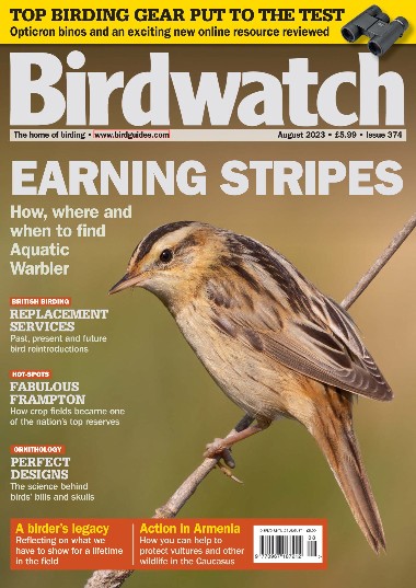 Birdwatch UK - August / 2023