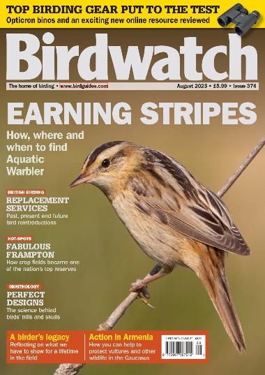 Birdwatch UK - August / 2023 7ec68efe552f88b80e36c5496e9ad7fa