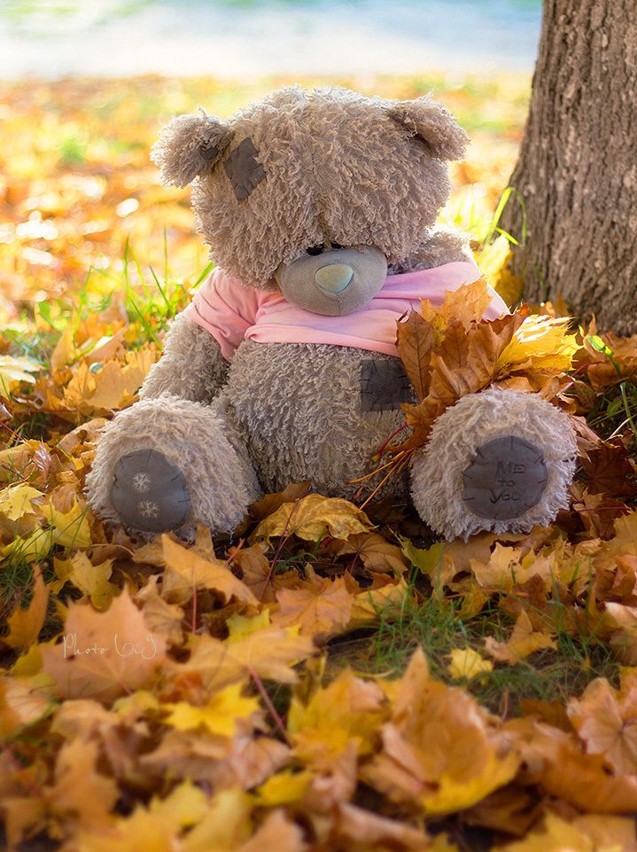 My teddy bear - Page 45 A9f4a6a7ddf5d0b4e36666c11f37b8d6