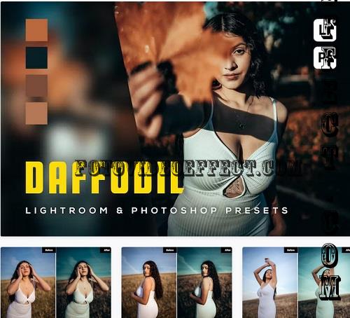 6 Daffodil Lightroom and Photoshop Presets - EVY7G9X