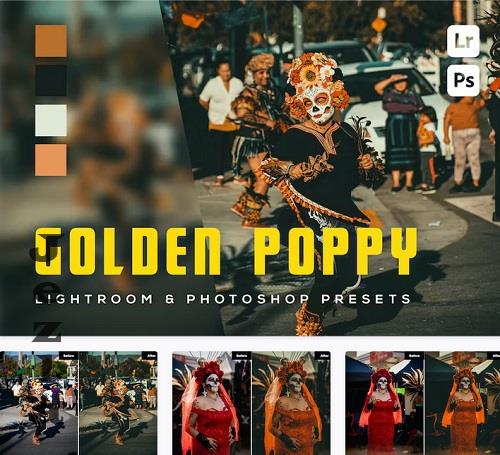 6 Golden poppy Lightroom and Photoshop Presets - MW28DQK