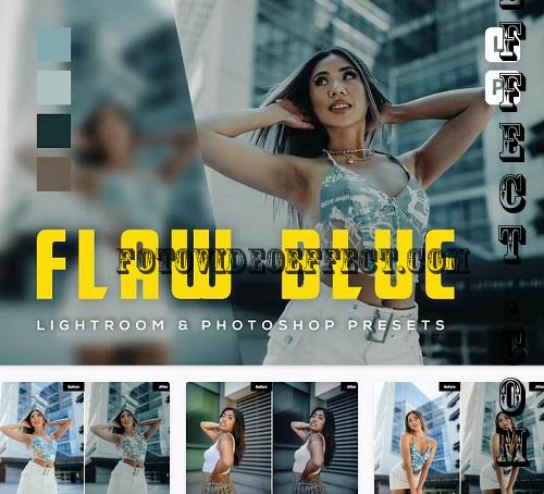 6 Flawblue Lightroom and Photoshop Presets - 9CC65CC