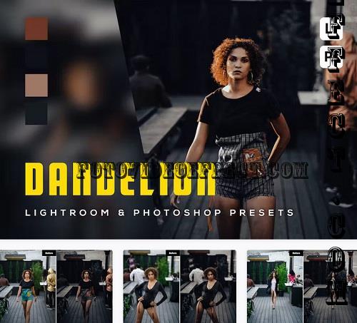 6 Dandelion Lightroom and Photoshop Presets - N2XD9QL