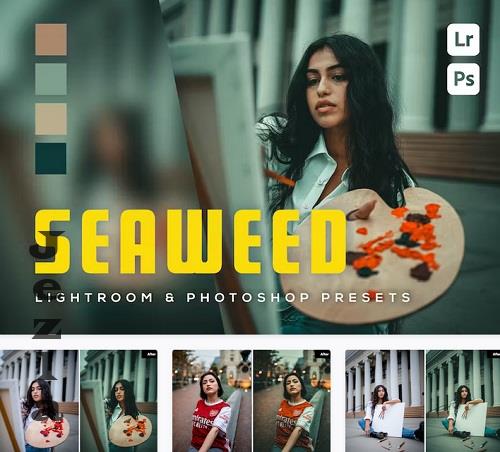 6 Seaweed Lightroom and Photoshop Presets - D6PPK7H