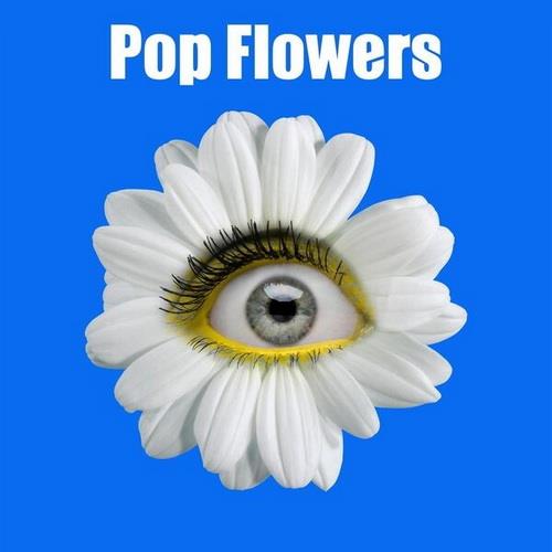 Pop Flowers (2023) FLAC