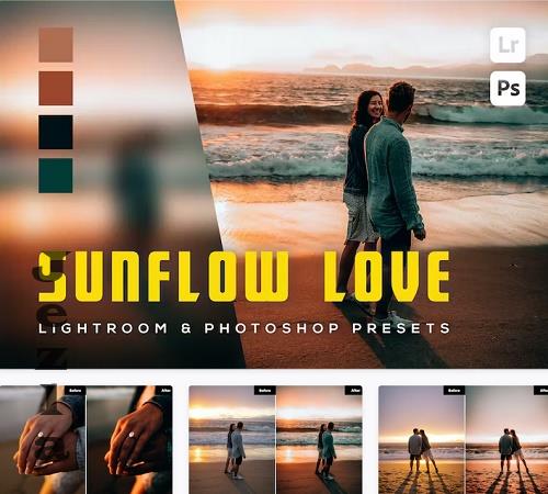 6 Sunflow Love Lightroom and Photoshop Presets - HSHGV7L