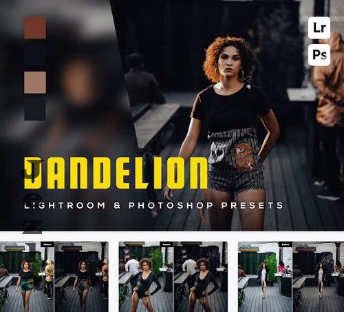 6 Dandelion Lightroom and Photoshop Presets - N2XD9QL