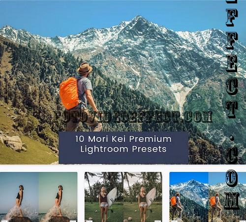 10 Mori Kei Premium Lightroom Presets - FGR3X7U