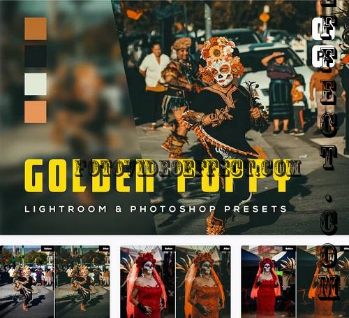 6 Golden poppy Lightroom and Photoshop Presets - MW28DQK