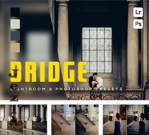6 Bridge Lightroom and Photoshop Presets - BSEN5N5
