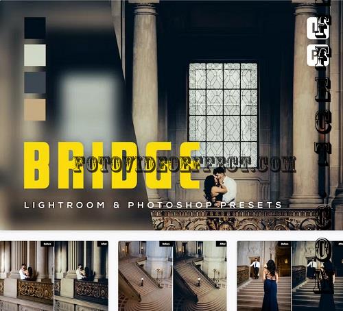 6 Bridge Lightroom and Photoshop Presets - BSEN5N5