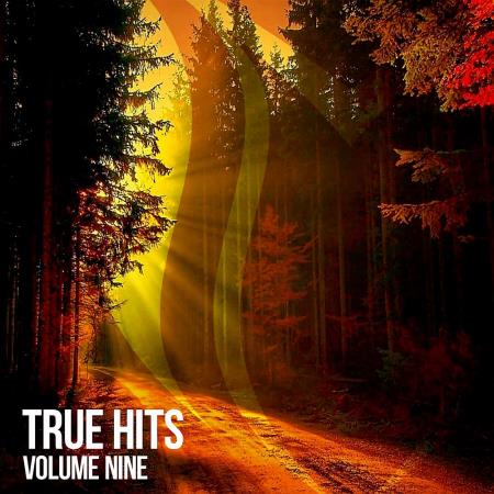 VA | True Hits, Vol 9 (2023) MP3