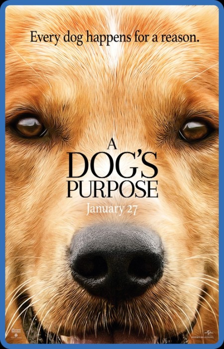 A Dogs Purpose 2017 1080p BluRay H264 AAC-RARBG C2668e4eebe373dcf0c623bbdc80ac1d