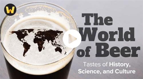 TTC – The World of Beer – Tastes of History, Science, and Culture