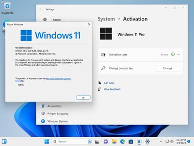 Windows 11 Pro 22H2 Build 22621.2134 (No TPM Required) Preactivated Multilingual August 2023 (x64)