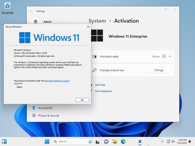 Windows 11 Enterprise 22H2 Build 22621.2134 (No TPM Required) Preactivated Multilingual August 2023 (x64)