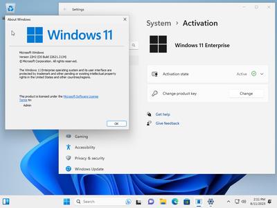 Windows 11 Enterprise 22H2 Build 22621.2134 (No TPM Required) With Office 2021 Pro Plus Multilingual Preactivated August 2023 (x64) D915dd5ea9c8da26f1f7d0e3d28c6235