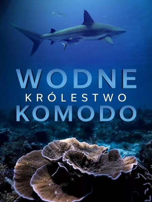 Wodne królestwo Komodo (2020) [SEZON 1] PL.1080i.HDTV.H264-B89 | POLSKI