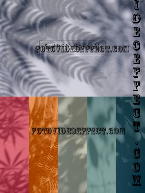 Botanical Shadow Overlays - 31391874