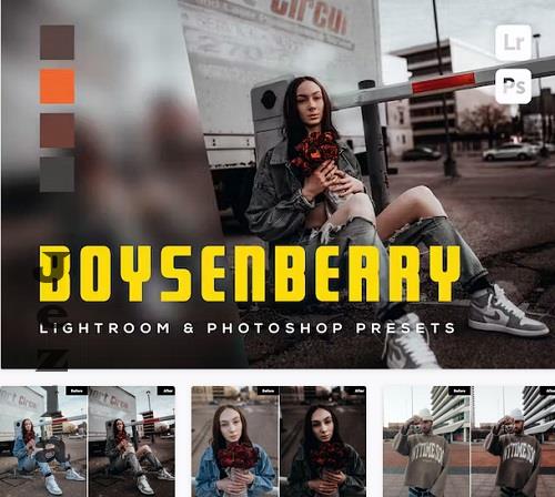 6 Boysenberry Lightroom and Photoshop Presets - C58HQP8