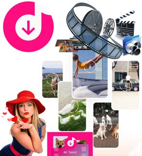 4K Tokkit 2.2.0.0740 Portable 4K Tokkit 2.2.0.0740 Portable
