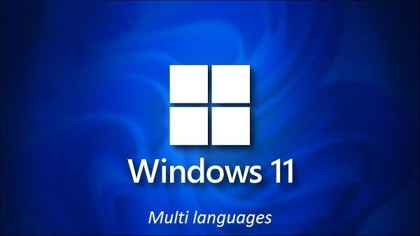 Windows 11 x64 22H2 Build 22621.2134 Pro 3in1 OEM ESD MULTi-7 August 2023 Preactivated
