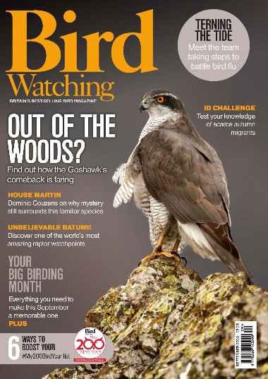 Bird Watching UK - September / 2023